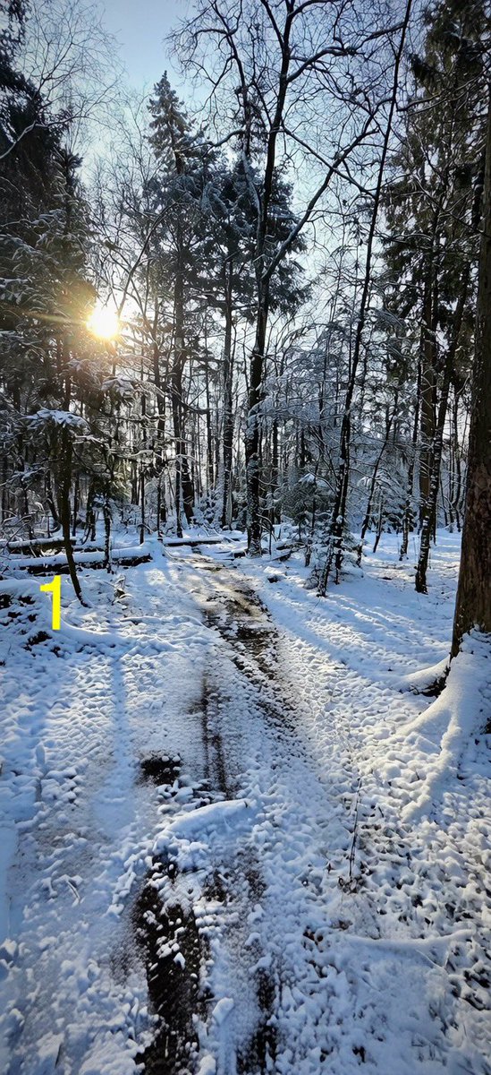 Rene Runningman tweet media