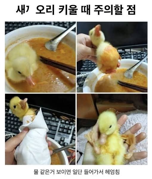 뭔가 하고픈게 있는데
막상 생각이 안나고
그럽니다....
후우...