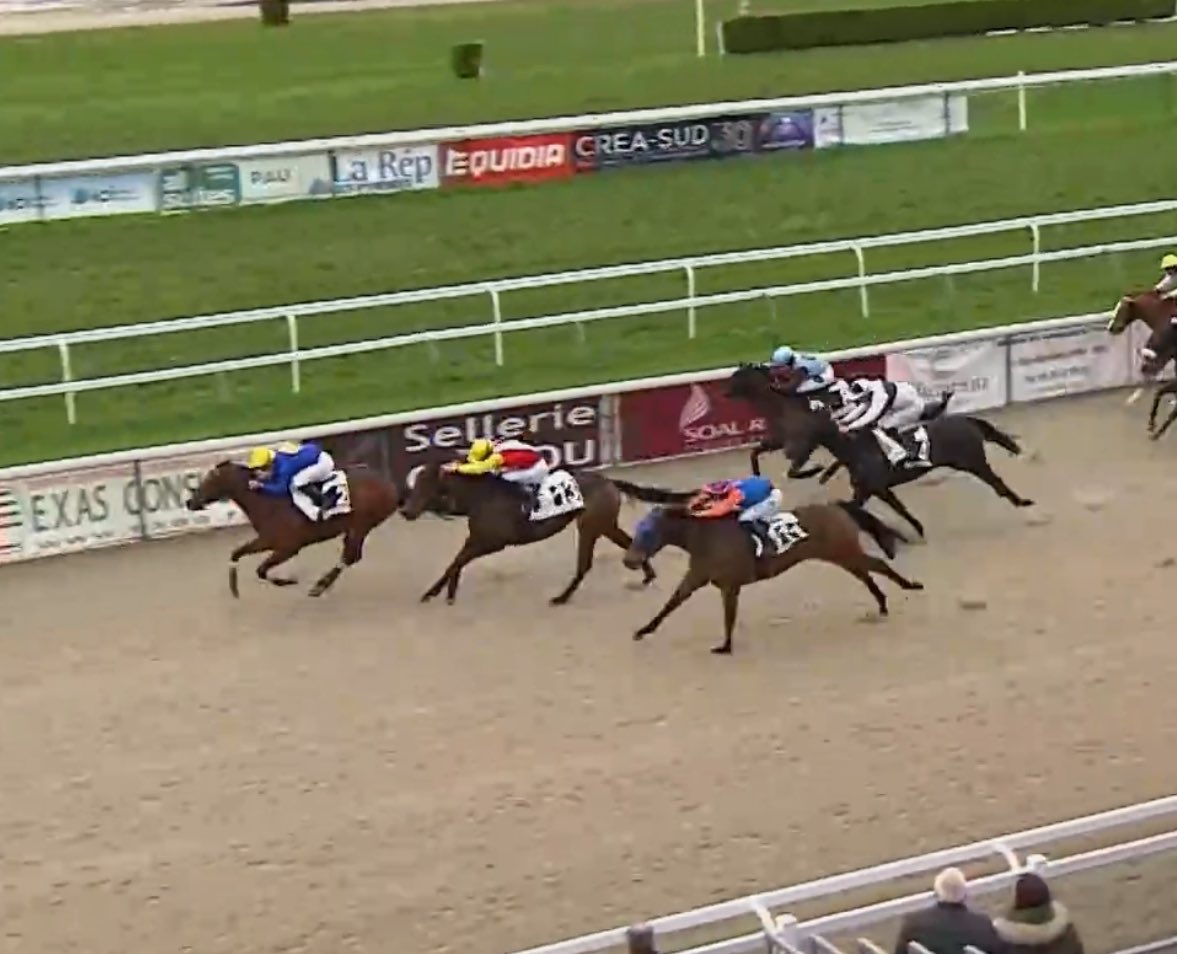 AsoTurfGalop's tweet image. Después de hacer un meeting de Pau más que correcto encontró su ansiada victoria DISILLUSION. Hoy era su día.