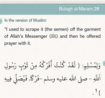 TojoGQD's tweet image. &amp;gt;Also Islam