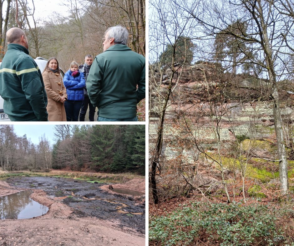 Image de Préfet de région Grand Est du Bas-Rhin - #Environnement | Visite de la réserve naturelle de la Petite-Pierre ⛰️

Maxime Ahrweiller, secrétair