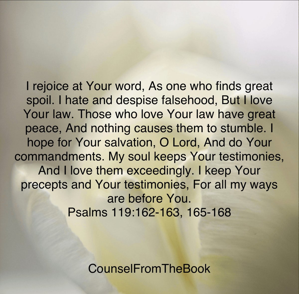 agnesisaiah4110's tweet image. Intercession — Yes, Pray with all your strength for God’s blessings on the world as a means of grace for yourself, others will be saved and Christians built up in the faith .

Pray at all times and on every occasion in the power of the Holy Spirit. (Ephesians 6:18)

Pray for:…