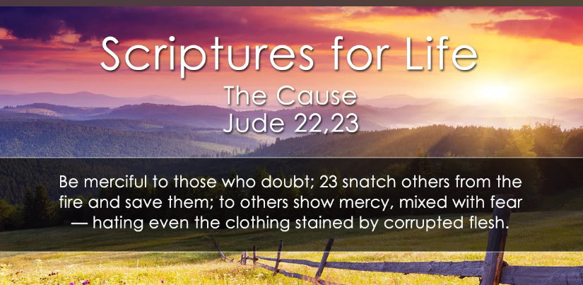 agnesisaiah4110's tweet image. Intercession — Yes, Pray with all your strength for God’s blessings on the world as a means of grace for yourself, others will be saved and Christians built up in the faith .

Pray at all times and on every occasion in the power of the Holy Spirit. (Ephesians 6:18)

Pray for:…