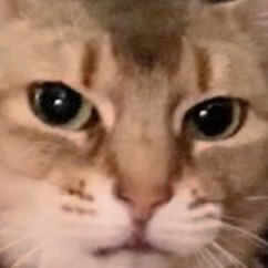 โอรีจะงงแมะทรงใหม่ใครคับ