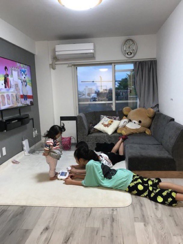 癒しの動物 tweet media