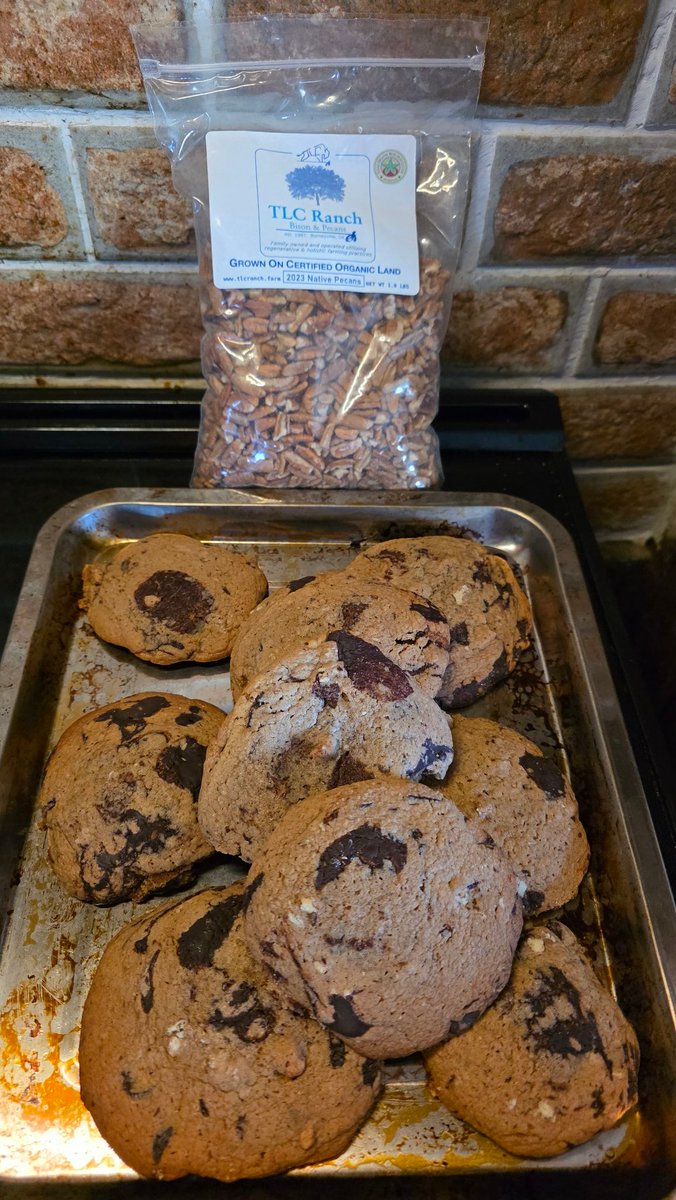 My first attempt at sourdough brown butter pecan chocolate chip cookies was a success. Having one of these with a glass of milk ain't bad. Big thank you to <a href="/Cindy_TLC_Ranch/">TLC Ranch</a> for the awesome pecans!