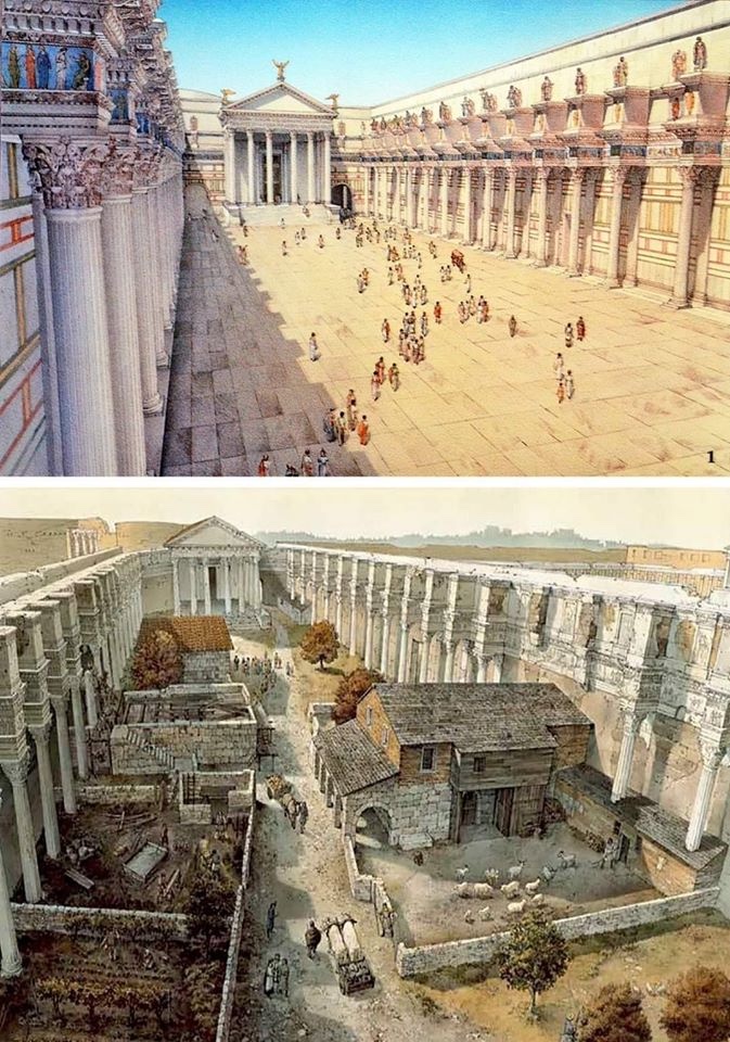 Alexei❤️🤍❤️ tweet media