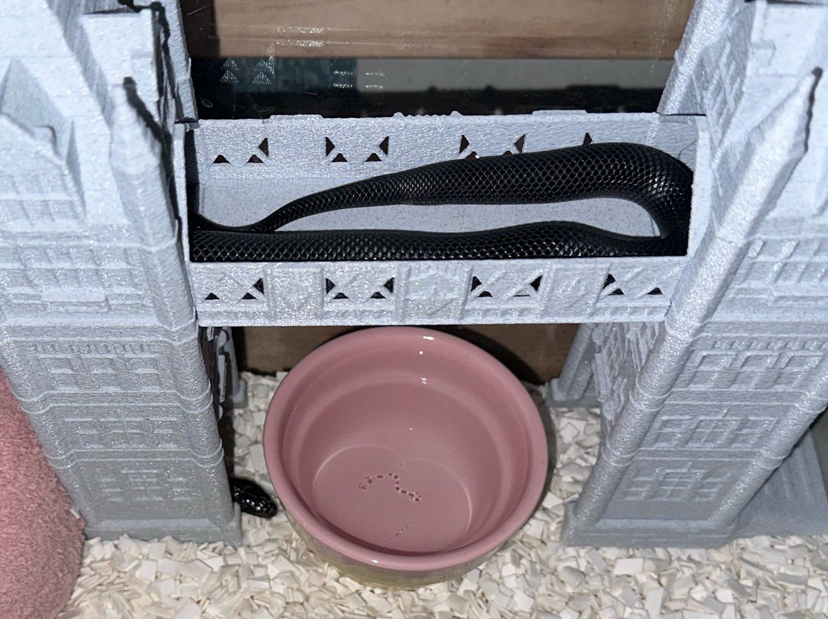 Sonne431 tweet media