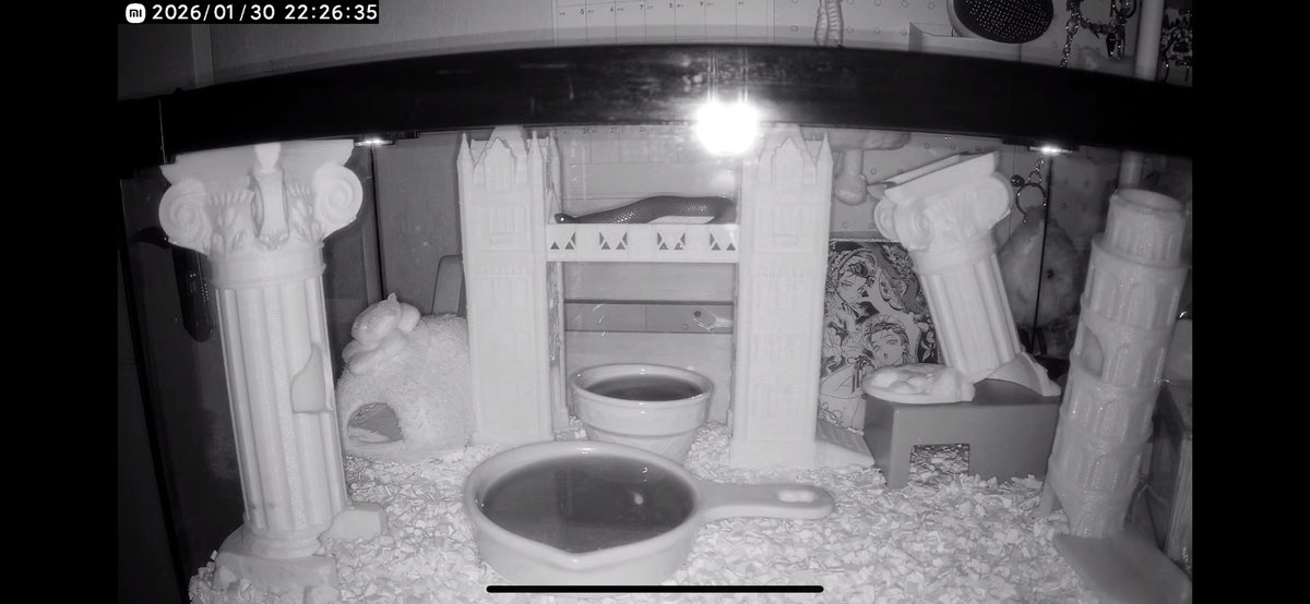 Sonne431 tweet media