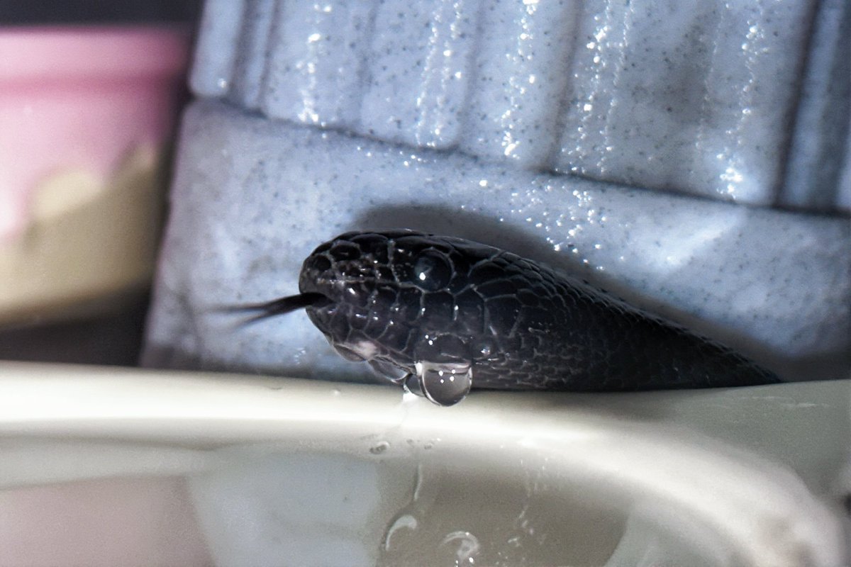 Sonne431 tweet media