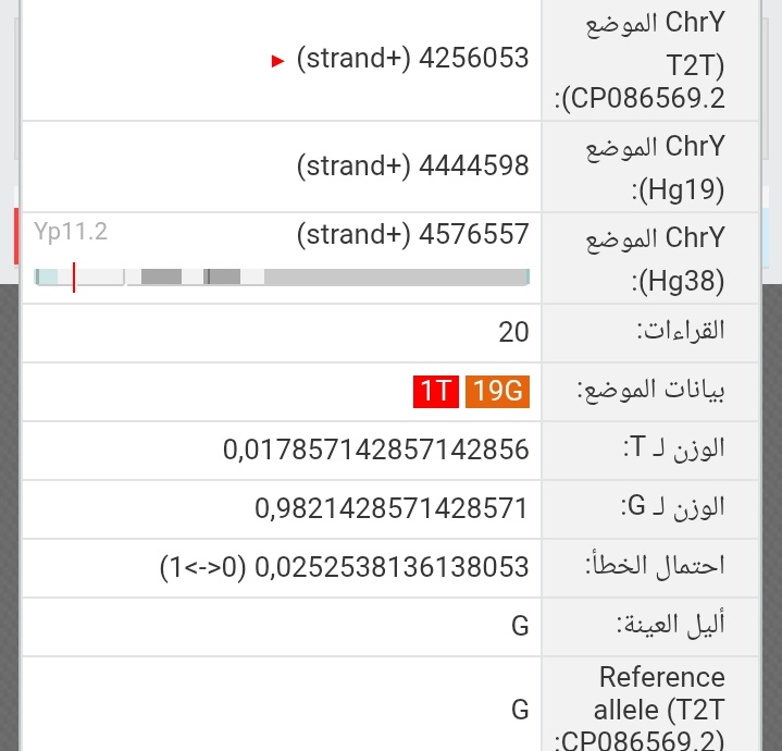 Hasaballabi ود الحسبلاب tweet media
