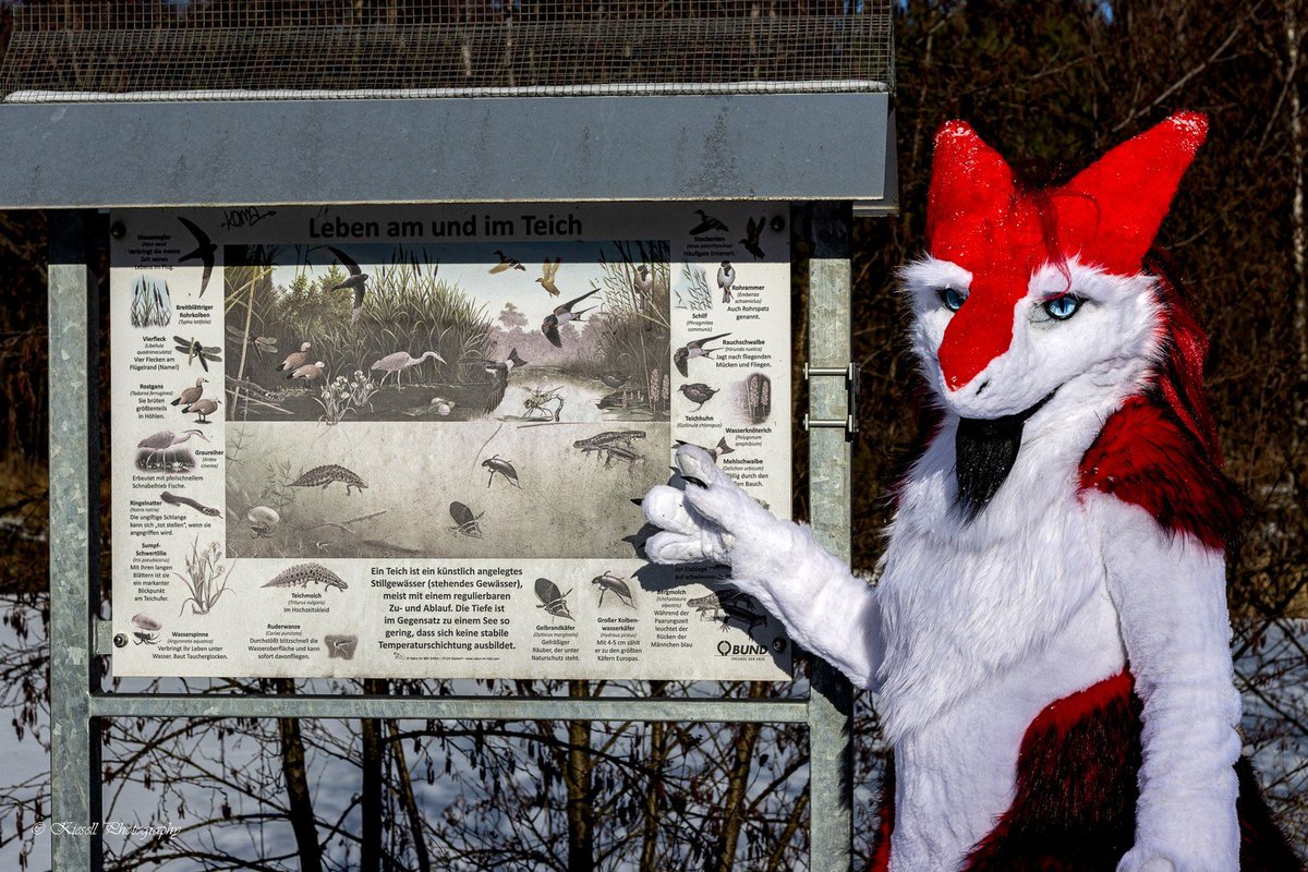 Kronos Sergal tweet media