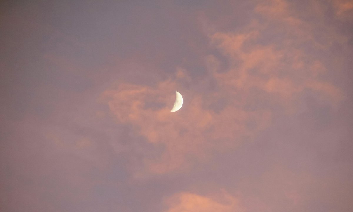 gardenofcolours's tweet image. 