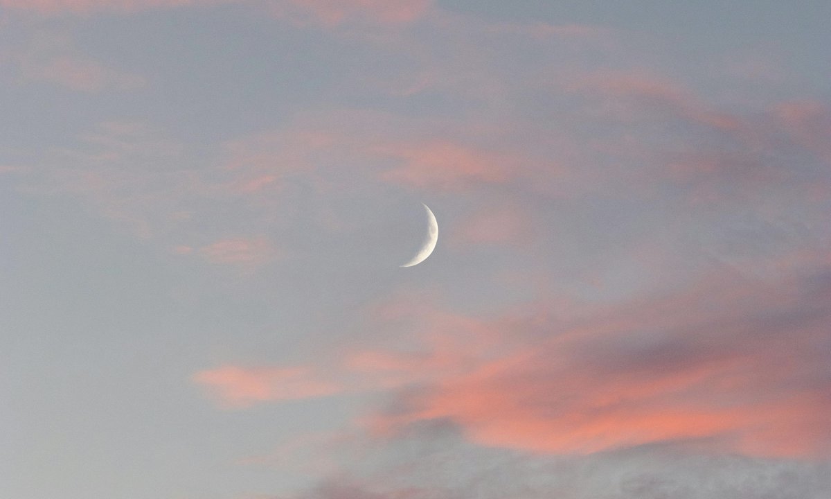 gardenofcolours's tweet image. 