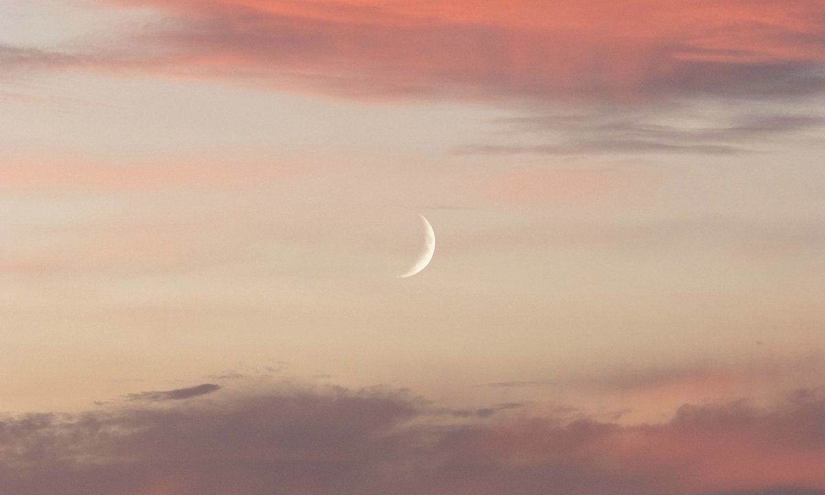 gardenofcolours's tweet image. 