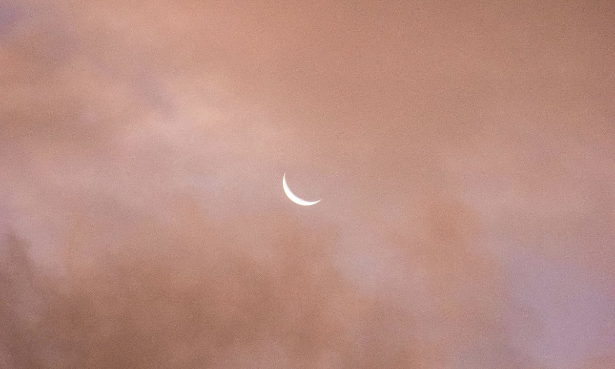 gardenofcolours's tweet image. 