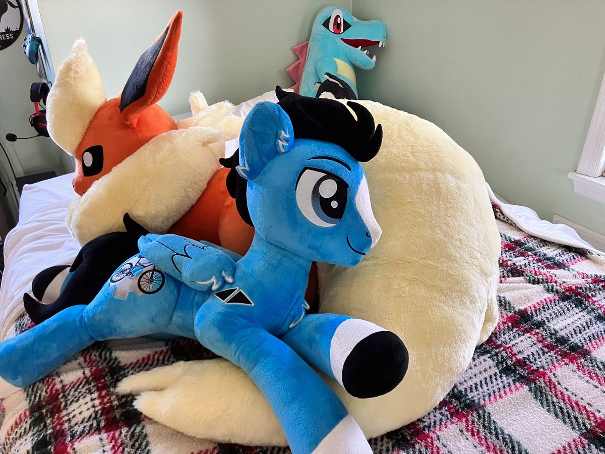 Enduro found his new favorite pillow.