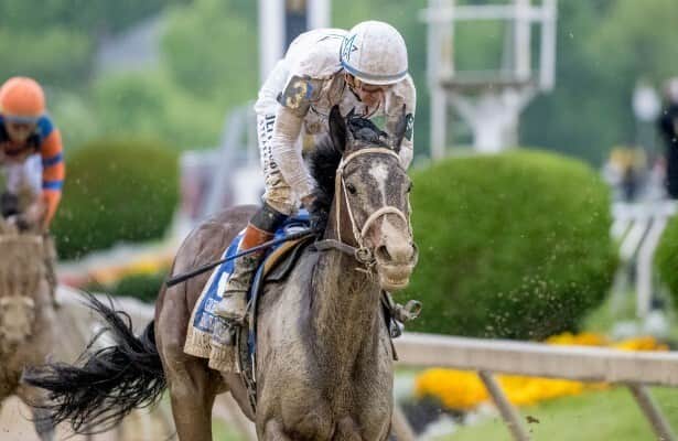 Horse Racing Nation tweet media