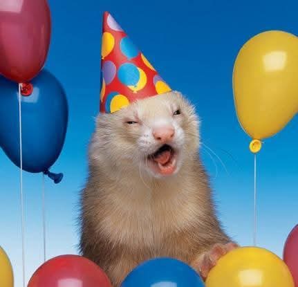 Doctor-Anfelo tweet media