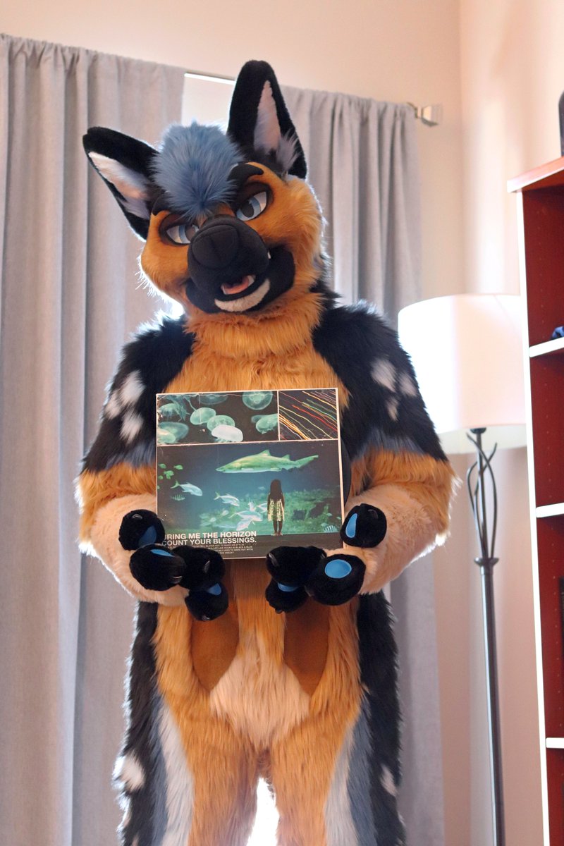 Happy #FursuitFriday! 

What's your favorite album you own? Mine is this OG copy of <a href="/bmthofficial/">Bring Me The Horizon</a>'s Count Your Blessings, and I still play it all the time 🤘