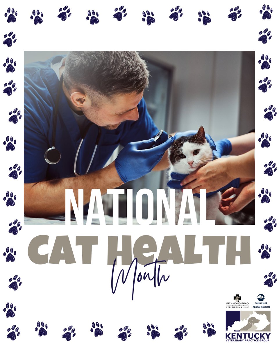 RichmondRoadVet's tweet image. National Cat Health Month is the purr-fect time to prioritize your cat’s wellness! 🐱💙 Routine care helps keep them healthy for years to come.

Schedule a visit today: kentuckyveterinarypracticegroup.com/schedule-an-ap…

#NationalCatHealthMonth #CatHealth #PetCare #VetLife