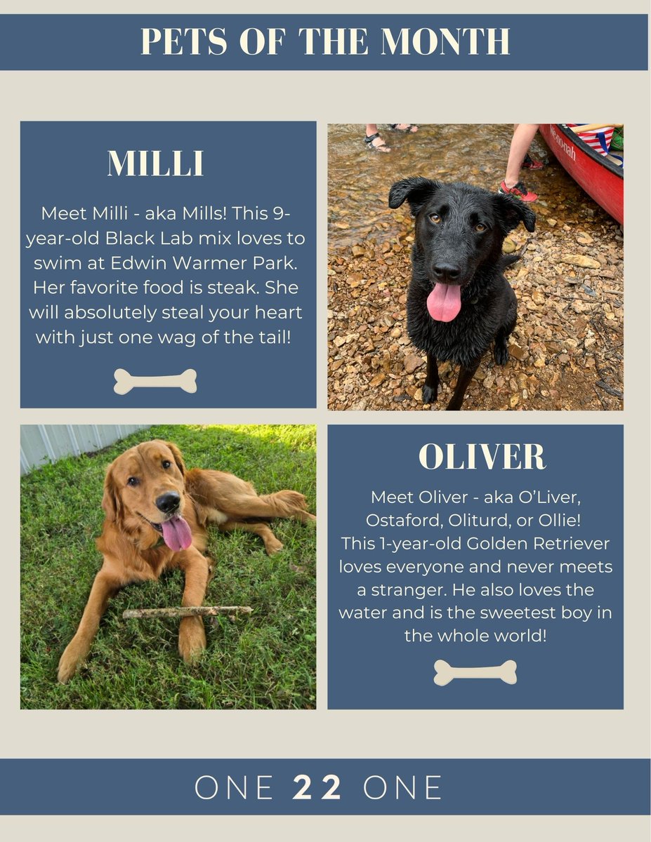 As #Nashville continues to endure extreme cold, we hope this #PetsOfTheMonth feature brings you a little warmth. Congrats to canine superstars Milli &amp; Oliver—and thanks to our #ONE22ONE tenants for sharing your furry family members with us! #gbtrealty #tenantfun #dogsofnashville