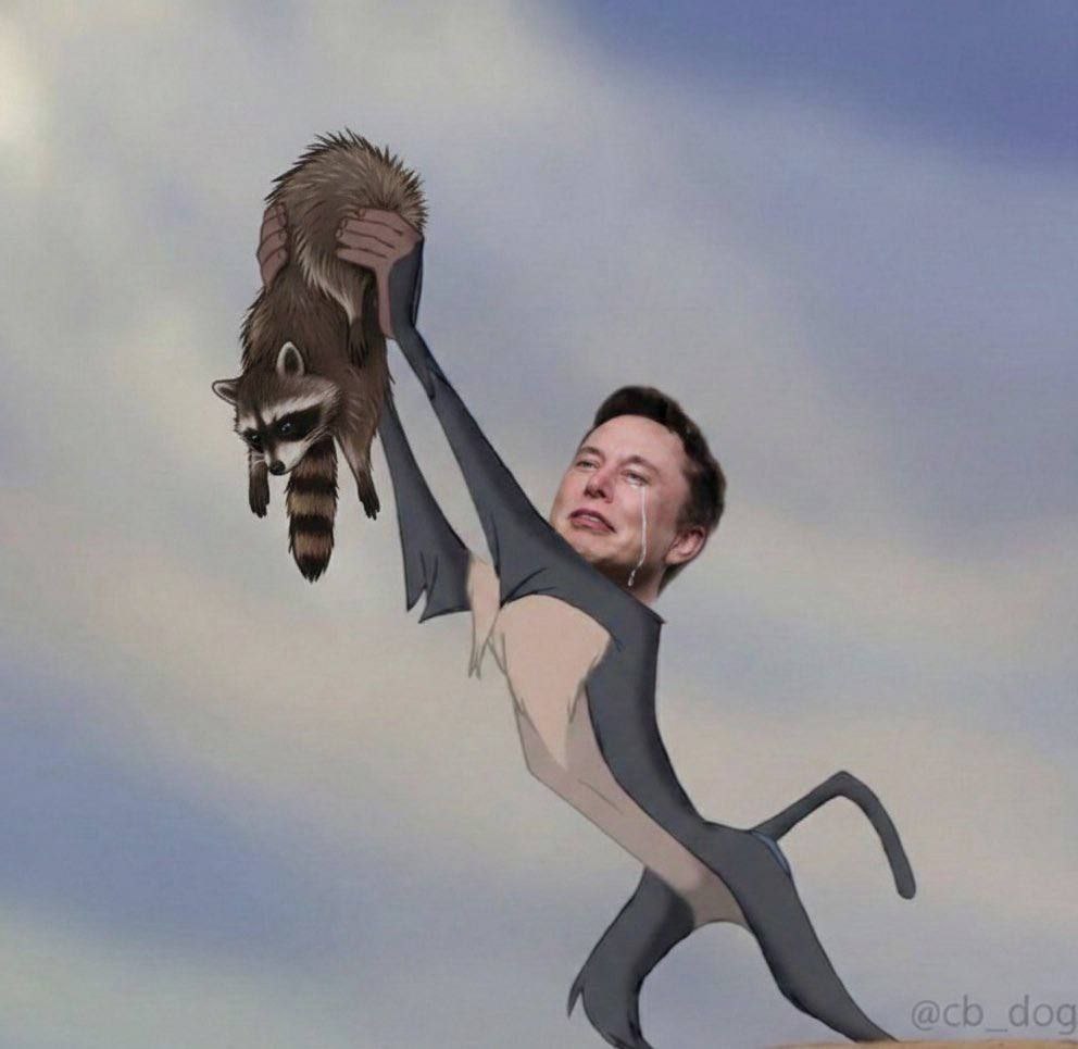 It’s not just a meme, it’s a movement. 

JUSTICE FOR $YOINK 

EMBRACE THE RACCOON 

#YOINK #ElonMusk #Solana <a href="/a1lon9/">alon</a> <a href="/cb_doge/">DogeDesigner</a> <a href="/elonmusk/">Elon Musk</a> #TheChosenOne