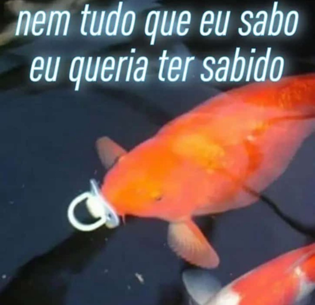 marcelanneves's tweet photo. @robertxyo Meia noite eu te conto o que acontece com as sex symbols https://t.co/AUqZzk7uLP