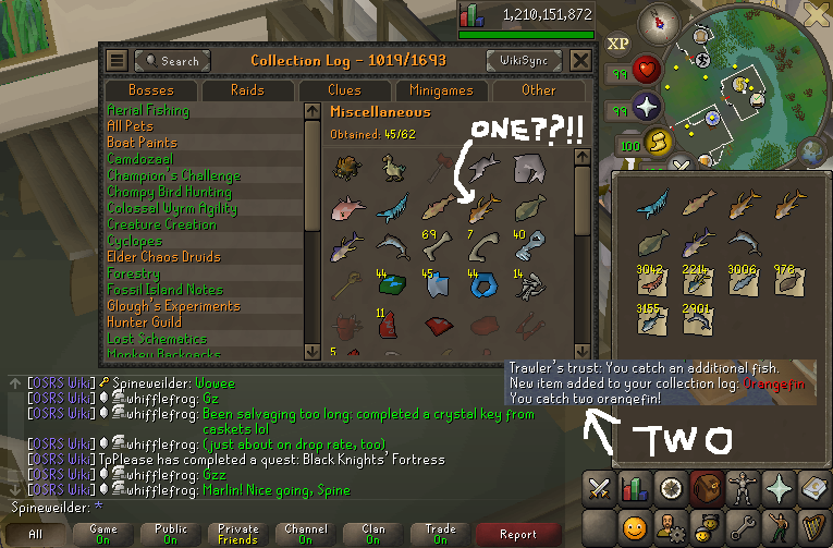 Spineweilder tweet media