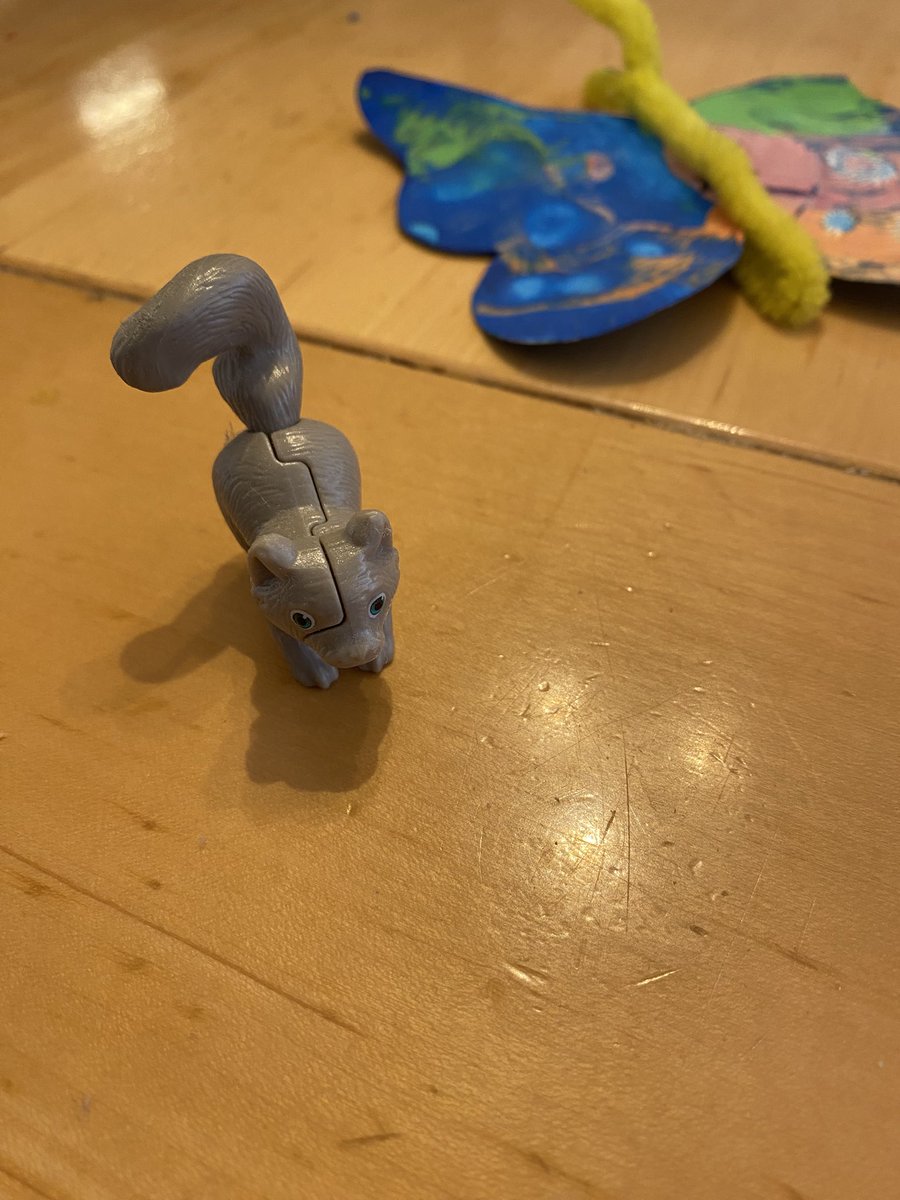 Sonia Zuccaro tweet media