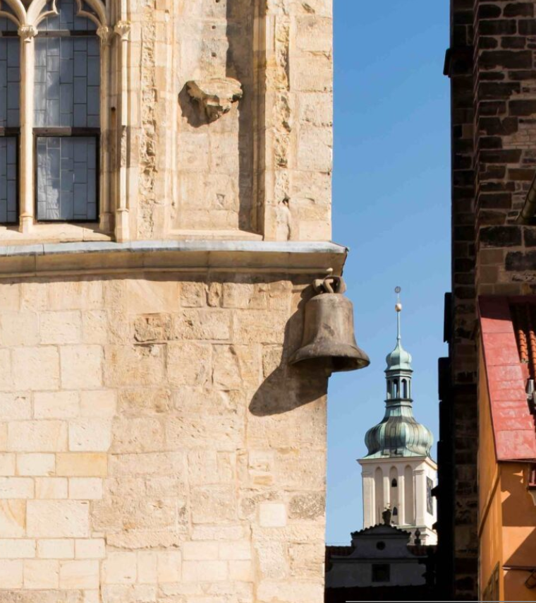 Petr Garden tweet media