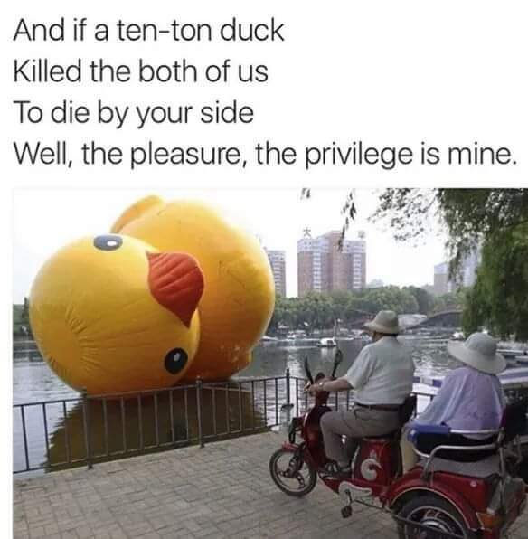 lisletrecords's tweet image. And if a ten tonne…

Saw this recently made us giggle!

#fridayfunny 
#thesmiths