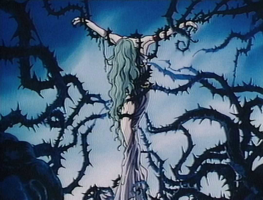 Anime Vibes tweet media