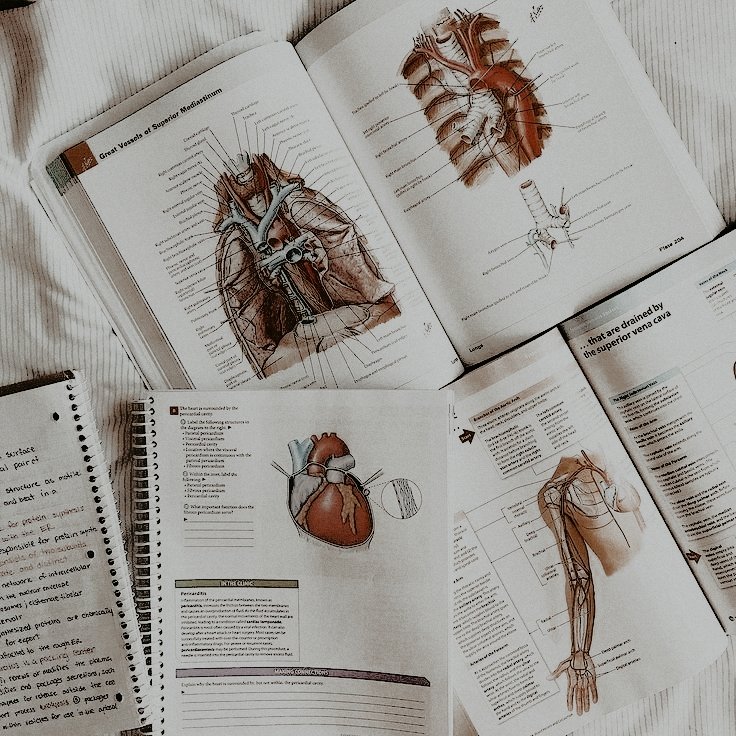 𝒐𝐥𝐢𝐯𝐢𝐚 𝖘𝐜𝐨𝐭𝐭. tweet media