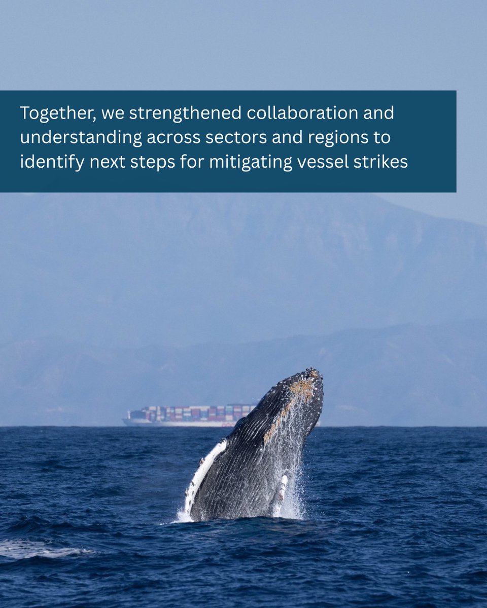 Benioff Ocean Science Laboratory tweet media