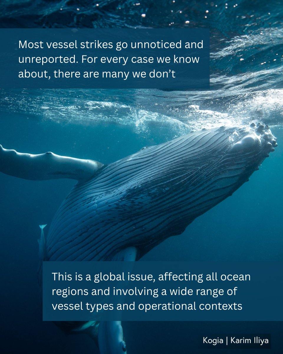 Benioff Ocean Science Laboratory tweet media