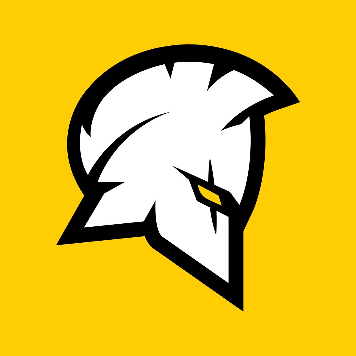 TbseSportsOf's tweet photo. @brasilstormCS Essa aqui! https://t.co/uoW35hnTgr