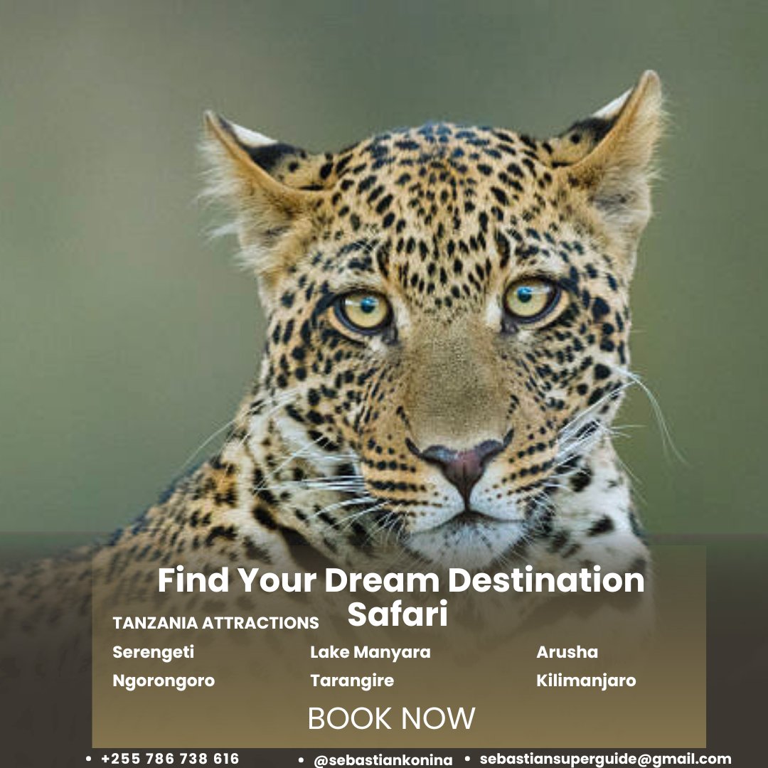 SuperbGuide's tweet photo. It's todaypard oh no it's leopard visit me.
To land of the statement of being happiest!
We offer cultural, trekking, wild safari, beach, waterfalls and likes tours.
Making an amazing inspiring delight adventure and extremely good trip into Tanzania and Zanzibar explore with us! https://t.co/hntf91o1BI