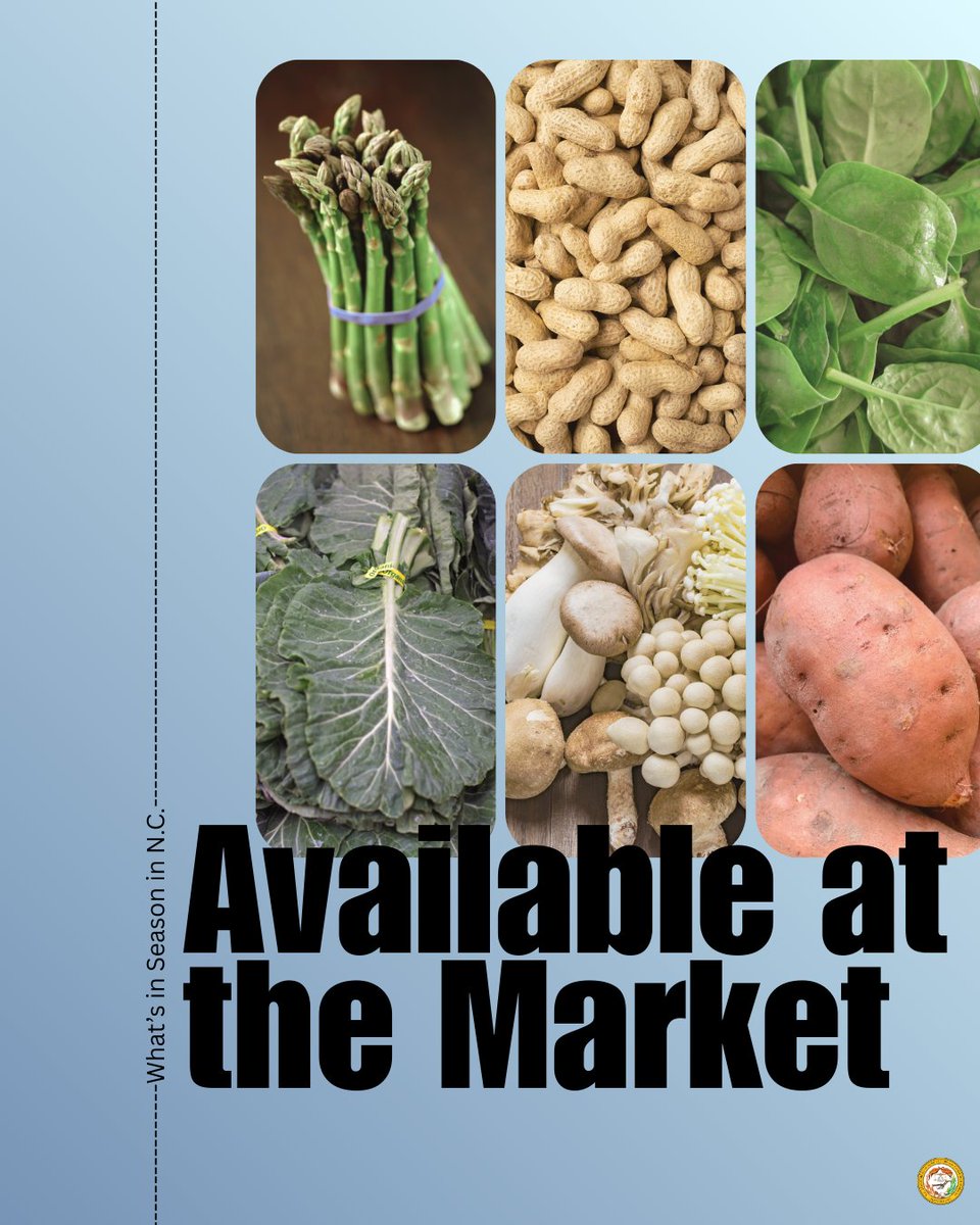 NCAgriculture's tweet image. It's nearly March, which means there are lots of local finds coming to farmers markets and roadside stands in your area!

Keep an eye out for asparagus, collards, mushrooms, spinach and more all month long and support our local farmers! #BuyLocal #NCAgriculture