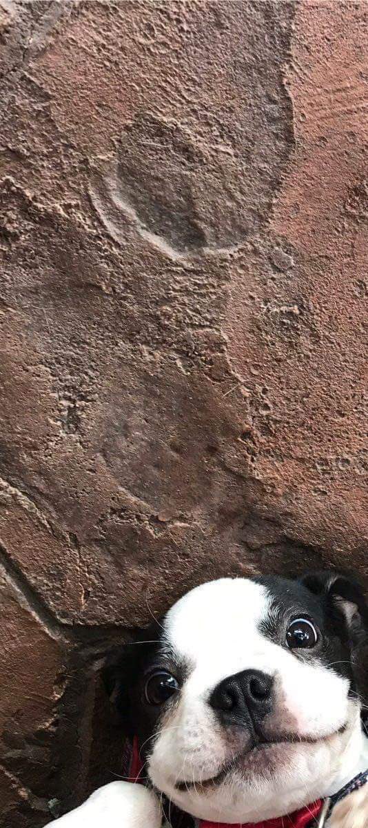 NaturPictures's tweet photo. Abre las imágenes y tendrás 4 sorpresas. https://t.co/r8GTQRAGg1