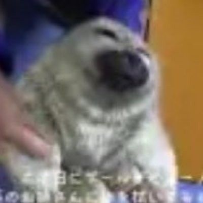 Cabbi🆖🫧 tweet media