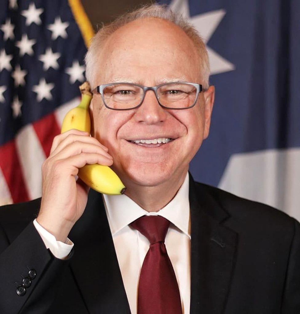 “I need you to provide ineffectual resistance, perhaps including some comically ridiculous quotes hinting at violent obstruction, until you receive the activation code “Ronald McDonald.” Then I want you to send in your security forces to gas all the shitlibs.”

“Yes sir.”

“One