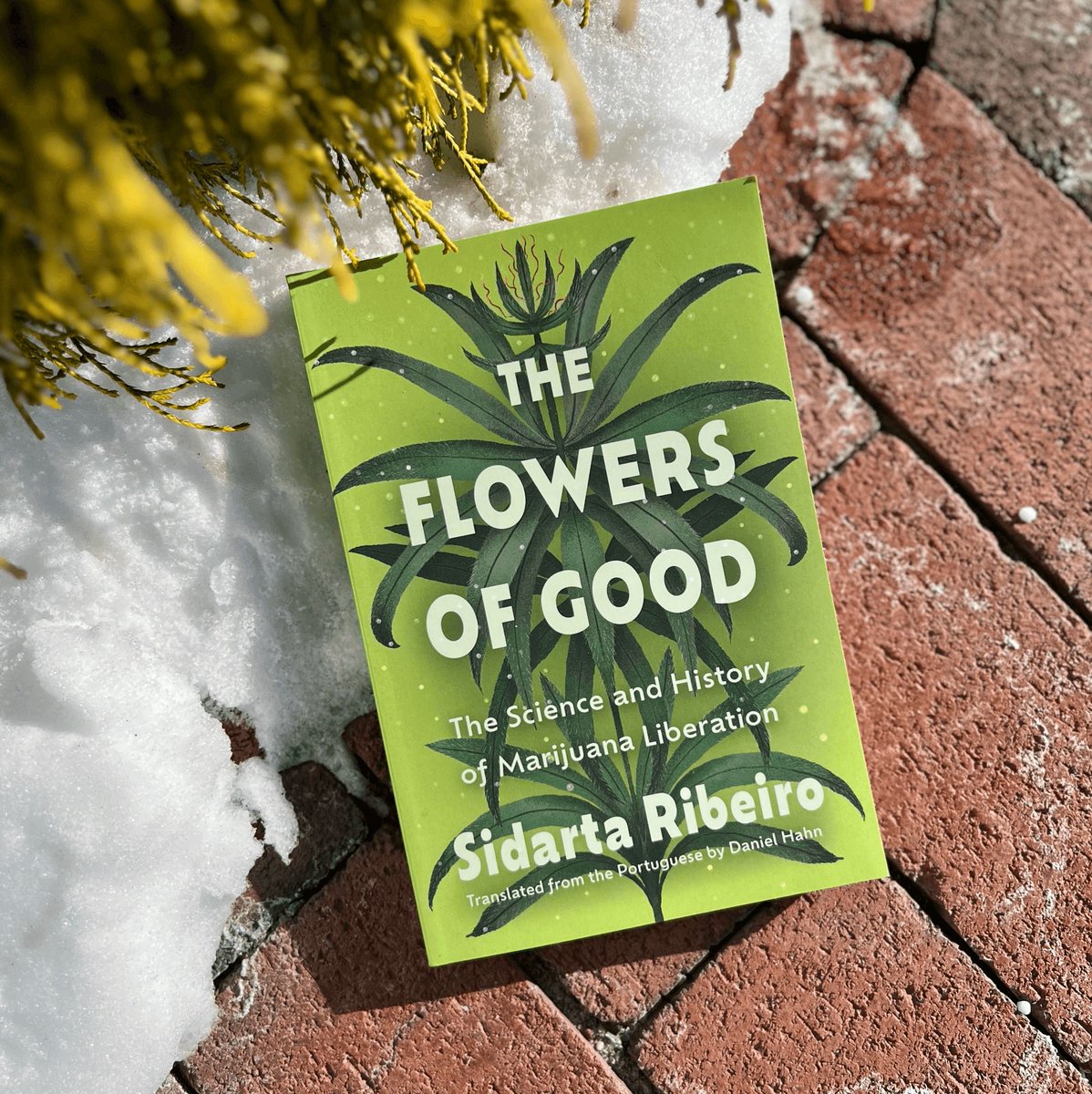 Soft Skull Press tweet media