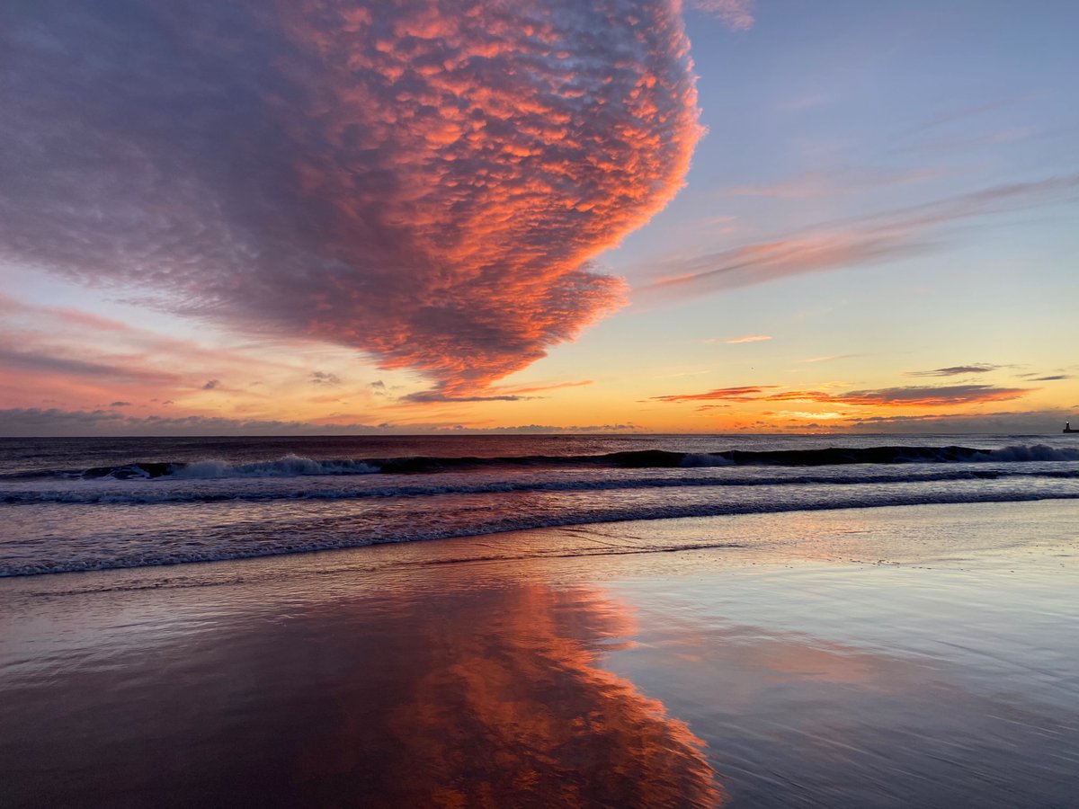 Lea Cornthwaite tweet media