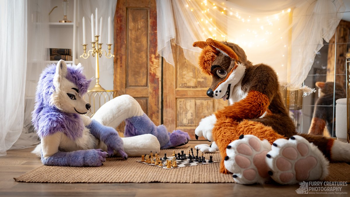 Furry C. Photo tweet media