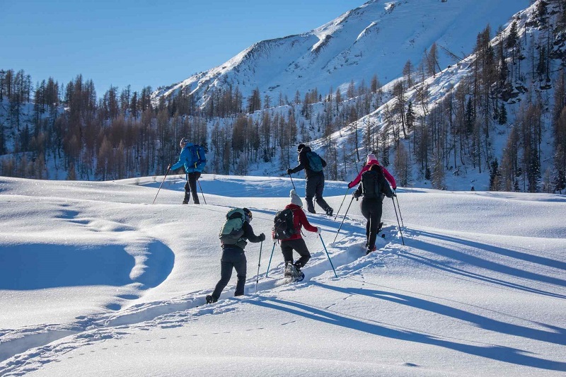 Non solo sci: lo #Zoncolan a febbraio è #SlowTravel e magia pura. Ecco tutte le esperienze da vivere sulle Alpi Carniche nel 2026. Leggi la guida completa qui:eventinews24.com/2026/01/visita…
#AlpiCarniche #FVG #Inverno2026 #Montagna