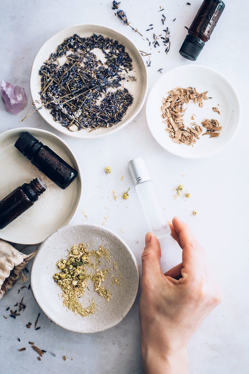 Stephanie Gerber tweet media