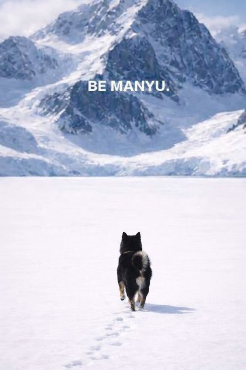 $Manyu the Black Dog is more than just a memecoin.
it’s a movement.

Built on the $Ethereum blockchain, $MANYU  represents resilience, strength, and community driven power. Inspired by the fierce and loyal image of a black $dog ( shiba-DOG) $Manyu stands for protection, growth,
