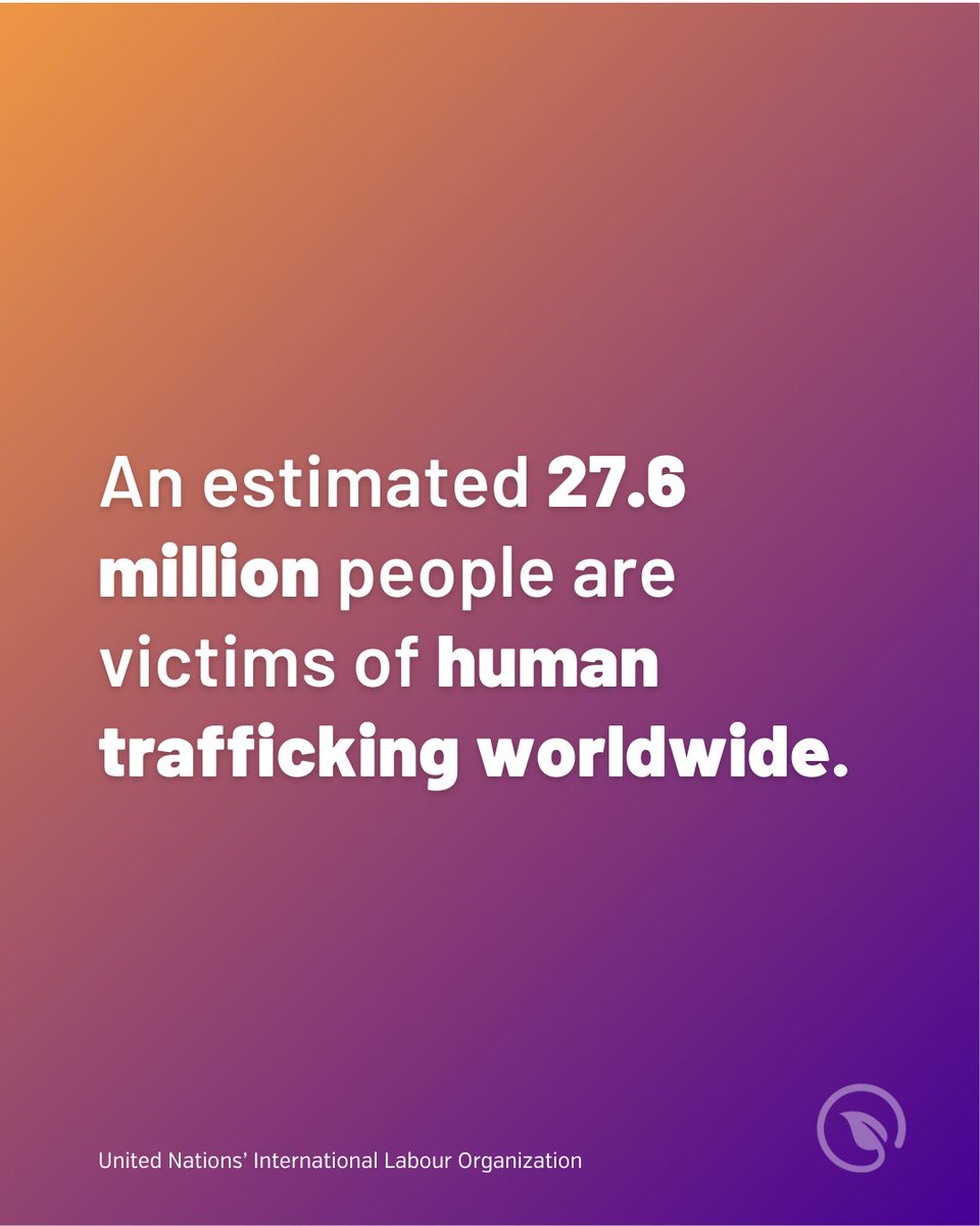 Sanctuary for Families tweet media