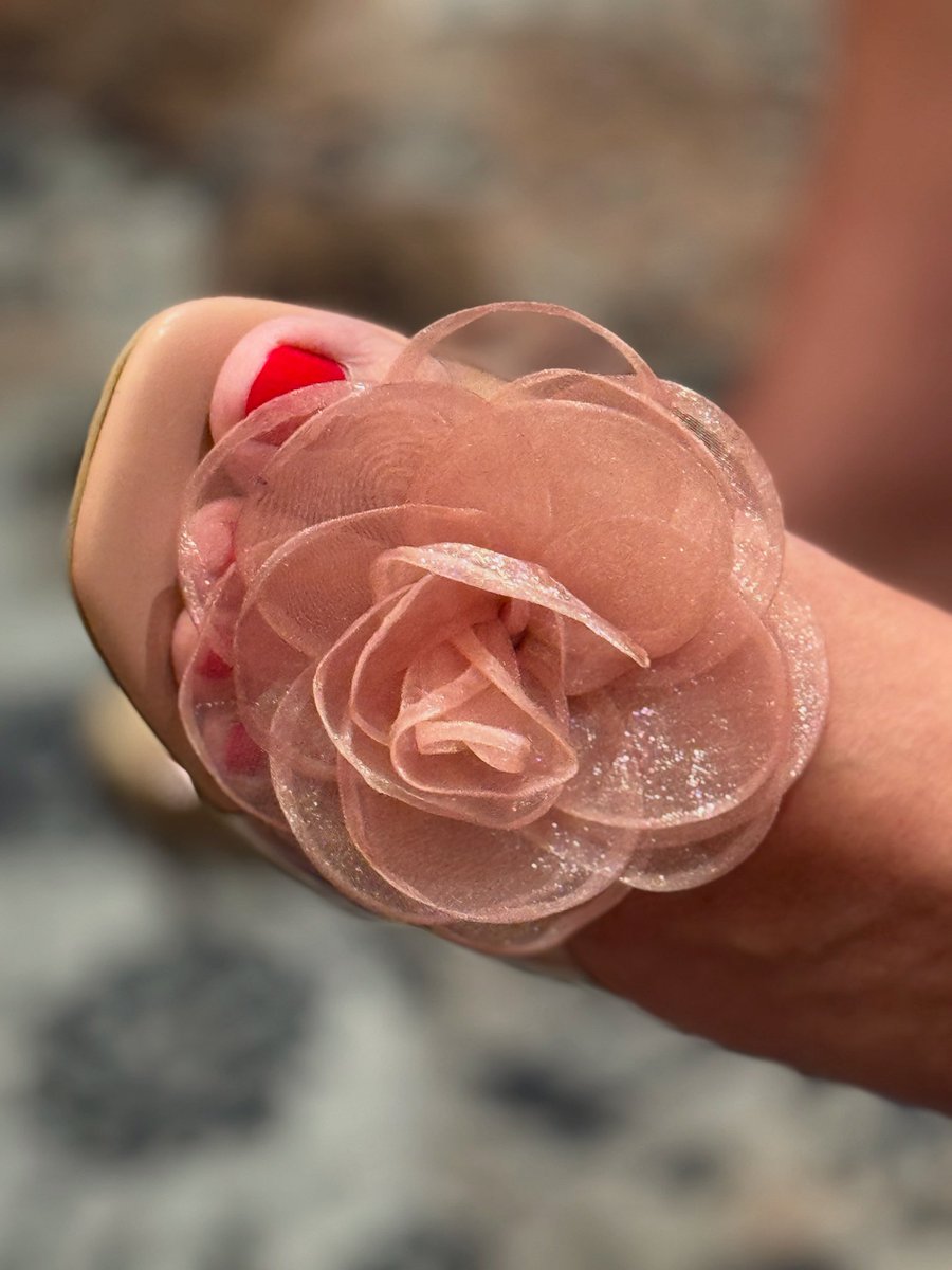 mayank austen soofi—InshaJoyce tweet media